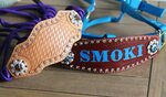 CUSTOMIZED Made to Order Nylon Web/Buckle Halter Tooled w/ E