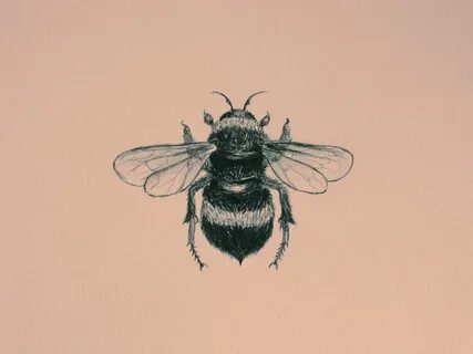 Lily India Bee tattoo, Bee, Bumble bee tattoo