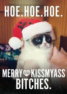 Grumpy Cat Christmas funny funny quotes grumpy cat humor chr