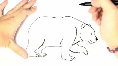 Como dibujar un oso polar para niños paso a paso