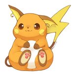 Raichu - Pokémon - Image #1509198 - Zerochan Anime Image Boa