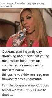 🐣 25+ Best Memes About Cougar Meme Cougar Memes