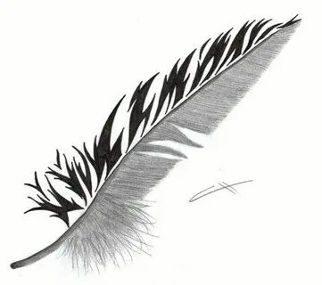 7 Pax Pluma ideas picture tattoos, feather tattoos, feather
