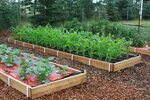 Easy Raised Garden Bed On Casters