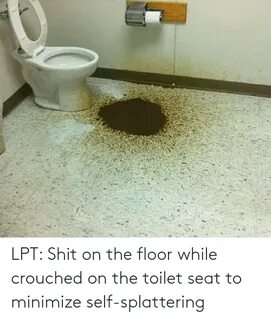 LPT Shit on the Floor While Crouched on the Toilet Seat to M