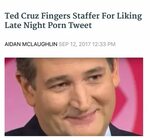 Ted cruz fingers staffer for liking late night porn tweet ::