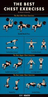 An illustrated chart of the best chest exercises Chest workouts, Best chest work