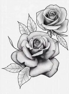 Realistic Rose Drawing Related Keywords & Suggestions - Real