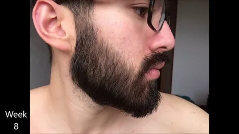 Growing my beard for 4 months - YouTube
