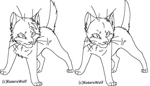 Warrior Cat Drawing at GetDrawings Free download