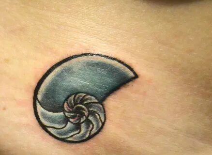 Blue Nautilus Shell tattoo: done at faith tattoo gallery in 