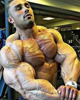 Pin by Gatheringtree on Beastly Bodybuilders in 2020 Muscle,