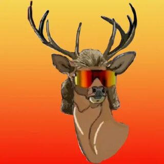 Deer With Sunglasses Wallpapers - Wallpaper Cave