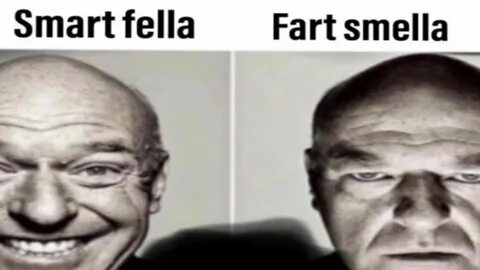 smart fella or fart smella - YouTube