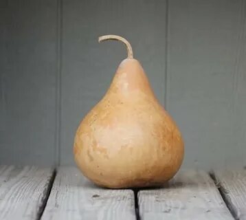 Amazon.com: martin gourd seeds