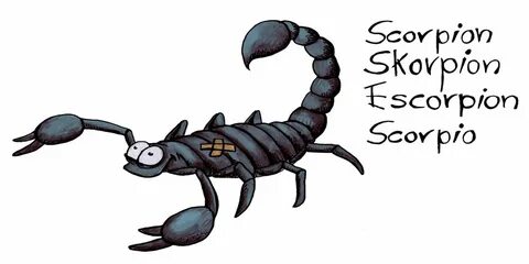 Скорпион прикольный гороскоп (45 фото)