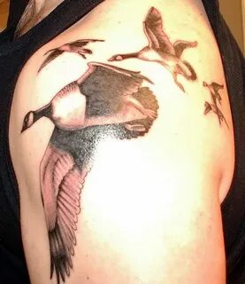 Waterfowl Tattooes-pics added : Wildlife Photography Forum G