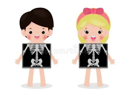 Bones Organs Stock Illustrations - 2,706 Bones Organs Stock 