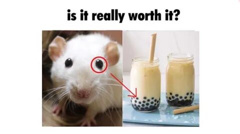 Is It Really Worth It? Know Your Meme
