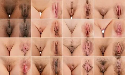Строение женской вагины - 76 красивых секс фото