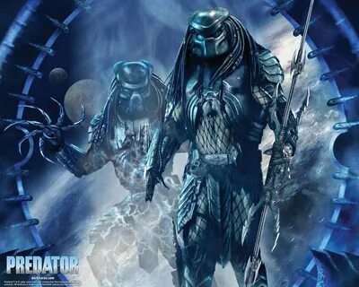 Cool Predator Wallpaper posted by Christopher Thompson