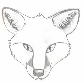 Realistic Fox Head Drawing Images & Pictures Fox coloring pa