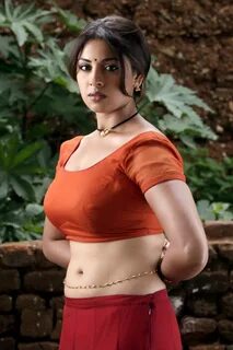 Richa Gangopadhyay Latest Hot Navel Show Stills in Saree