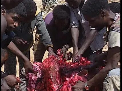 I'm Tired of Eating Human Meat - Man Caught With Human Flesh