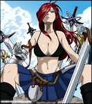 Erza Scarlet Fairy Tail Know Your Meme