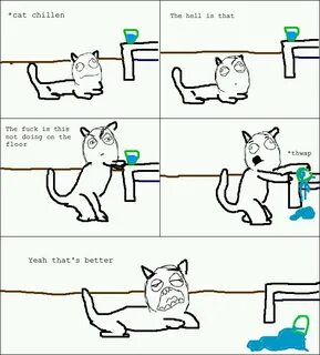 cat logic - Meme by filip8429 :) Memedroid