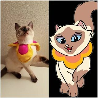 catcosplayuniverse: Sing the Chinese Siamese Cat! SOURCE #an