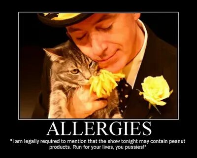 The 25 Best Ideas for Funny Allergy Quotes - Home, Family, S