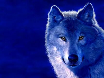 Blue animals digital art wolves wallpaper 1600x1200 326913 A