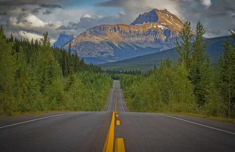 Скачать обои дорога, лес, деревья, горы, Канада, Canada, Ска