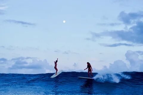 MorganMaassen_Jungle - 8 - Surfing World Magazine