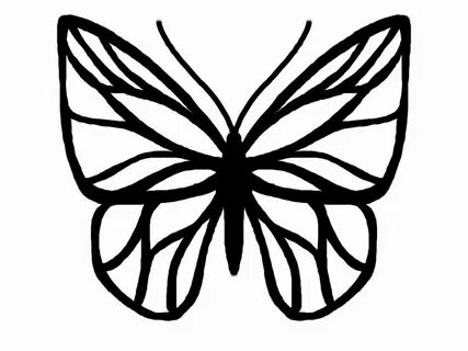 Free Butterfly Outlines, Download Free Butterfly Outlines pn