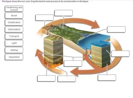 Solved This figure shows the rock cycle. Drag the label for 