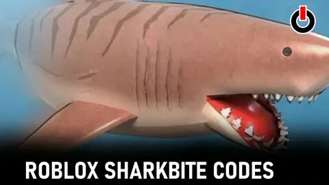 What is the biggest shark in SharkBite? - Jojo Codes