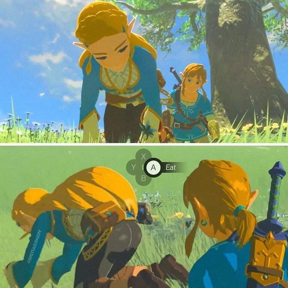 @zeldafanpage7 в Instagram: "#memes #zelda #botw #botwmemes #zeldabrea...