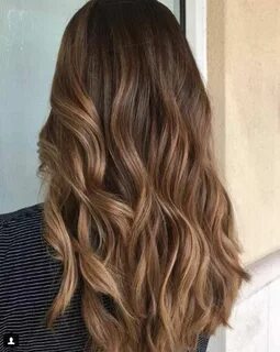 Image result for warm brown hair with highlights Brunette ha