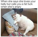 When she's angry Crying Cat Know Your Meme