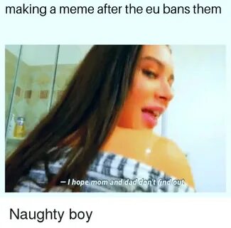 Making a Meme After the Eu Bans Them - I Hope Mom and Dad Do