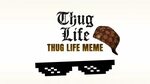 Thug Life Meme: What Did The Fox Say? - YouTube