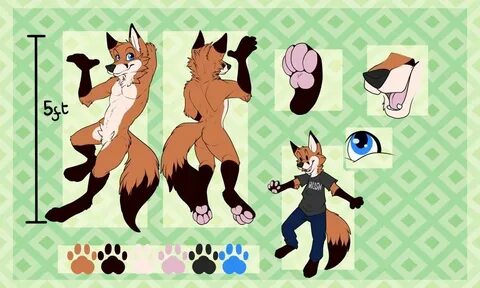 Fursona Ref Sheet Fox - Hoshii Wallpaper