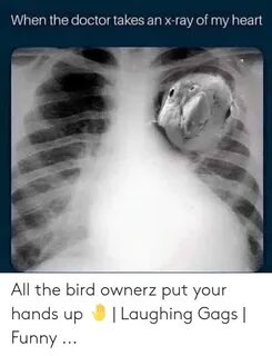 When the Doctor Takes an X-Ray of My Heart All the Bird Owne