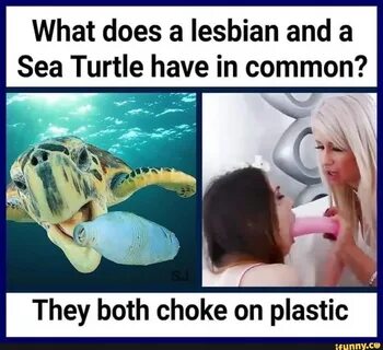 What does a lesbian and a Sea Turtle have in common? 