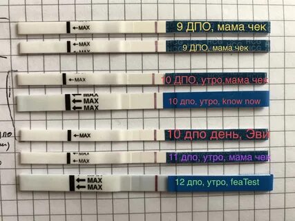 Может ли тест на беременность показать отрицательный результат при цистите ...