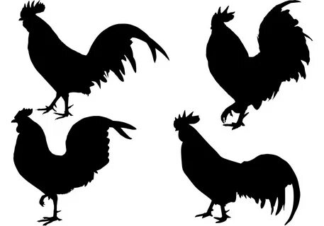 Rooster Silhouette Svg - 290+ Best Quality File - Free SVG I