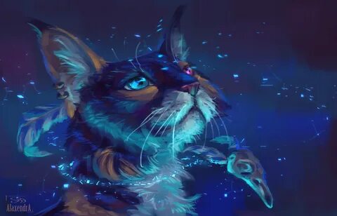 80+ Fantasy Cat Wallpapers