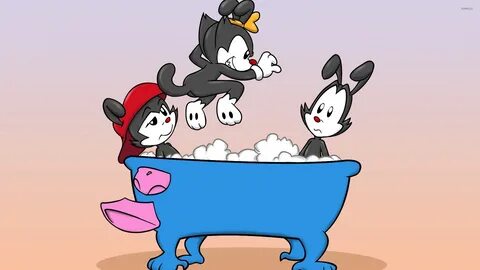 Animaniacs wallpaper - Cartoon wallpapers - #43056